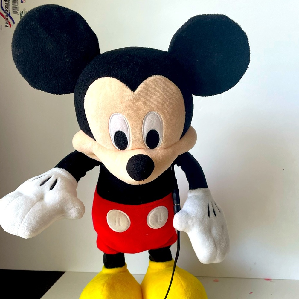Switch Adapted Mickey Mouse